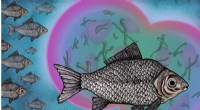 Prussian Carp: Asexual Reproduction Fuels Its Invasive Success