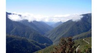 Data-Driven Conservation Priorities for the Tropical Andes Ecosystems