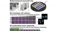 Innovative Microchip Enables High-Resolution Imaging and Advanced Screening