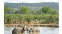 How Climate Change, Population Growth, and Land‑Use Alter Africa’s Protected Areas
