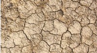 Drought s Clear Impact on Global Agricultural Production: Insights & Implications