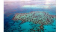 Experts Urge Great Barrier Reef to Be Designated  In Danger  to Strengthen World Heritage Protection