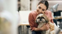 Pet-Friendly Offices: Benefits and Challenges for Modern Workplaces