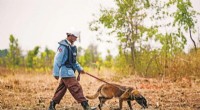 Ensuring Landmine Detection Dogs Stay Healthy: Parasite Management Strategies