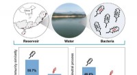 Mapping Bacterial Communities and Antibiotic Resistance in Southeast China’s Inland Waters