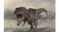 New Giant Predator  Meraxes  with Tiny Arms Discovered in Patagonia