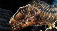 Scientists Unveil Meraxes gigas: A Giant Predator with Tiny Arms, Echoing T. rex