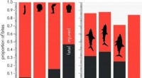 New Historical Dataset Enhances Understanding of Shark-Human Interactions