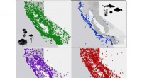 Mapping California’s Biodiversity: A Genomics Initiative for Long‑Term Conservation