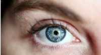 Scientists Identify Genes Key to Vision Health