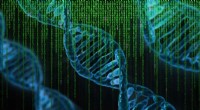 Why Bioinformatics Data Reduction Techniques Demand Careful Application
