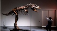 Sotheby s to Auction 76‑Million‑Year‑Old Gorgosaurus Skeleton in New York
