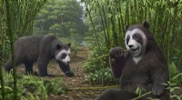 Six Million Years Ago: How Ancient Pandas Evolved a Specialized Thumb to Harvest Bamboo
