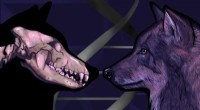 Ice Age Wolf DNA Uncovers Dual Wolf Lineages in Dog Ancestry