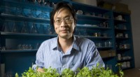 Climate Change Weakens Plant Disease Defenses – New Research Offers Solutions
