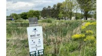 Snap, Share, Save: Binghamton’s Citizen Science Wetland Project