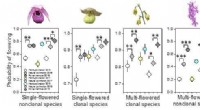 Trade-Offs Between Current and Future Reproduction in Coexisting Plant Species: A Multi-Year Experimental Study