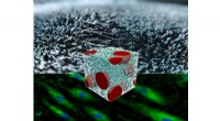 Innovative Smart Materials Enable Precise Cellular Behavior Studies