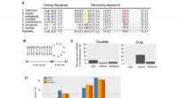 New Research Highlights Sequence and Structural Variations in Strawberry Mitochondrial Genomes