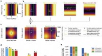 Track-and-Trace Microscopy: Predicting Optimal Resolution Through Iterative Pattern Control