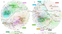 Unveiling the Carbon Cycle in Microbial Ecosystems of Biological Soil Crusts