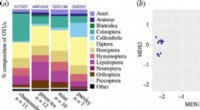 Arthropod DNA Detected in Tea and Dried Herb Samples: A Comprehensive Taxonomic Study