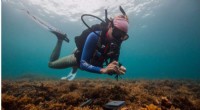 Measuring Coral Reef Health: A Tile‑by‑Tile Calcium Carbonate Blueprint
