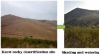 Shading & Watering Significantly Improve Seedling Survival After Topsoil Translocation in Karst Regions