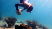 Ningaloo Coral Reefs Struggle to Withstand Climate Change, Study Finds
