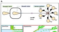 Efficient Shape‑Based Separation of E. coli Using a Viscoelastic Microfluidic Device