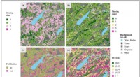 Satellite Analysis of Grassland Management in Oberallgäu, 2018
