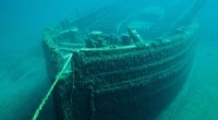Study Reveals 19th-Century Wooden Shipwrecks as Thriving Habitats for Deep-Sea Microbiomes