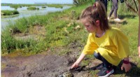 Kindergarteners Release Orphaned Turtles Back into the Wild