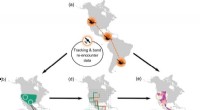 New Mapping Method Enhances Tracking of Bird Migration Patterns