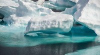 Zinc Drives Complex Life Evolution in Polar Oceans: New Study Reveals Key Role and Climate Threat