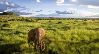 Protecting Biodiversity: Why 44% of Earth s Land Needs Conservation
