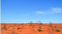Ancient Australian Forests: Fossil Discovery Reveals a Lush Past
