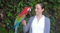 Keeping Endangered Parrots: Ethical Considerations & Suitability