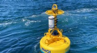 Protecting Right Whales: New Robotic Buoys for Atlantic Ocean Safety