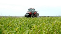 Rising Input Costs: Impact on Farm Economics - AFPC Report
