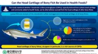 Bony Fish Cartilage: A Novel Source of Proteoglycans & Chondroitin Sulfate for Health Foods