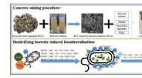 Bacteria-Enhanced Concrete: A Sustainable Solution for Construction