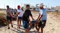 Tunisia Sea Turtle Rescue: Tracking Efforts for Loggerhead Protection