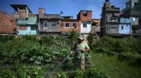 Urban Gardens in Rio de Janeiro: Cultivating Food Security for Communities