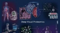 Deep Visual Proteomics: Unlocking Cell-Specific Protein Insights for Cancer Analysis