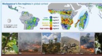Madagascar Forest Loss: Large-Scale Fires, Not Small Land Clearing Blazes, Drive Deforestation