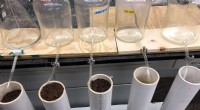 Optimizing Bioretention Cells for Enhanced Water Infiltration