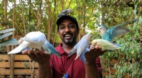 Marshall Nature Reserve: A Sanctuary for Exotic Birds in Sudan