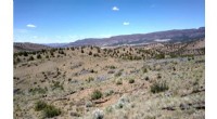 Long-Term Wildfire Control Strategies in Sagebrush Steppe Ecosystem | OSU