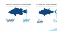 U.S. Fisheries: Progress in Rebuilding and Recovery - 2021 Update
